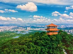 -大屏嶂森林公园