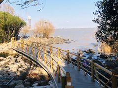 -上海吴淞炮台湾国家湿地公园