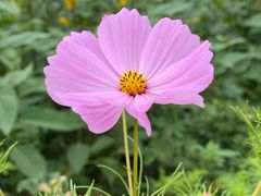 -潭柘厚院&山顶烤肉(潭柘寺店)