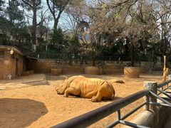 -昆明动物园