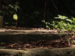 -飞霞风景名胜区