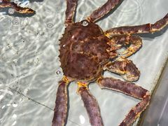 -万龙洲海鲜(南新仓店)