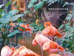 -长鹿旅游休博园