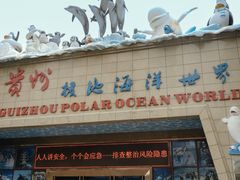 -多彩贵州城极地海洋世界