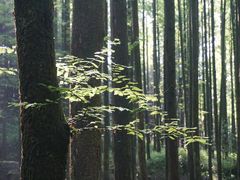 -山王坪喀斯特国家生态公园