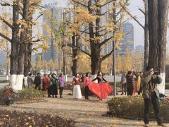 -百林公园-两江幸福广场