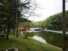 -朝阳公园游乐园