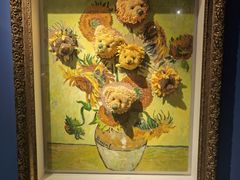 -成都泰迪熊博物馆