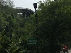 -南山植物园