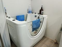 -萌宠之家·腊肠犬·马尔泰·小体犬舍