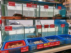 -小龍鳳·港式海鲜打边炉(沙湖路店)