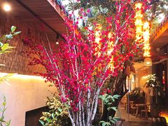 -王捌小院(红花坡店)