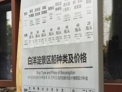 -白洋淀景区