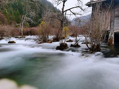 -乡土特色.冷锅鱼.牦牛肉汤锅