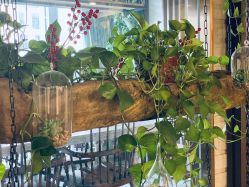 -青青一生美皮肤管理