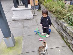 -安仁古镇