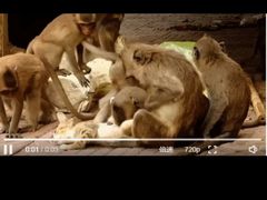 -昆明动物园