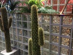 -悦海·家宴·冰花皮皮虾大锅贴(宝龙店)