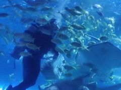 -秦皇岛新澳海底世界