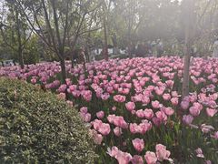 -翠湖公园