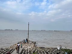 -上海滨江森林公园