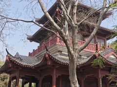 -堤角公园