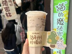 -猫的魔法密林(衣裳街店)