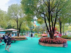 -苏州乐园森林水世界