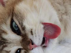 -佳雯宠物医院(四明中路分院)