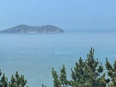 -摩天岭风景区