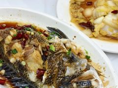 -阿军排档·烧烤