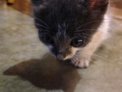 iphone_upload_pic-MIKAKU(万达广场上海宝山店)