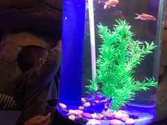 -梦幻海洋王国(吾悦广场张家港店)