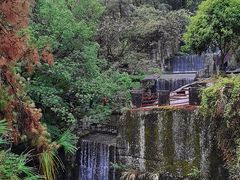 -千岛湖东南湖区