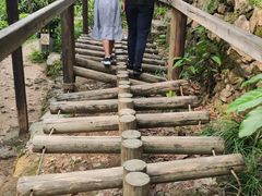 -青青世界