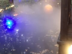 -二荆条·蜀鲜汇城市森林火锅