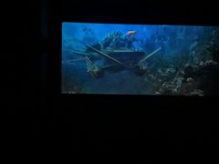 -SFC上影影城(淞南店)