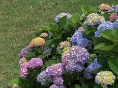 -常州古运河南大街文化旅游区-人民公园