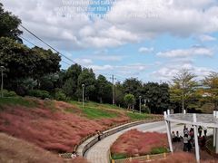 -牛岗山公园