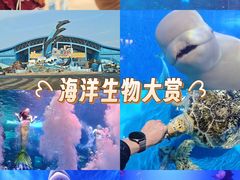 -泉城欧乐堡海洋极地世界