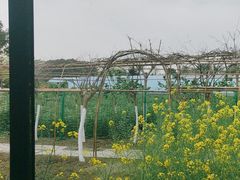 -洪湖家庭农场·团建·露营·会议