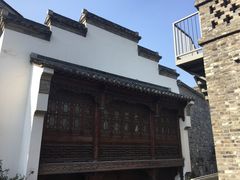 -两棵枇杷树