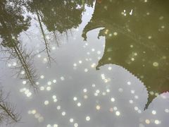 -青羊宫