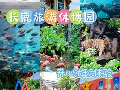 -长鹿旅游休博园