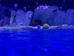 -上海海昌海洋公园-停车场