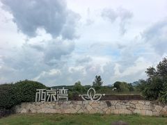 -西京湾花海