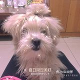你要乖一点，我想你的一生都有我[爱心]