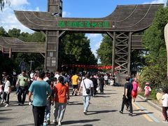 -溱湖国家湿地公园