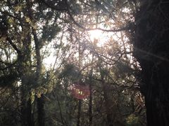 -龙门石窟-香山寺