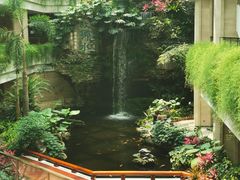 -广州白天鹅宾馆